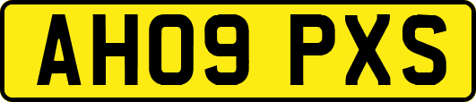 AH09PXS