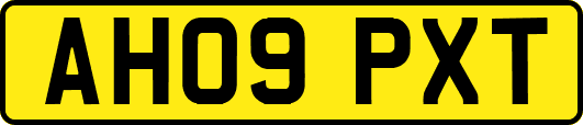 AH09PXT