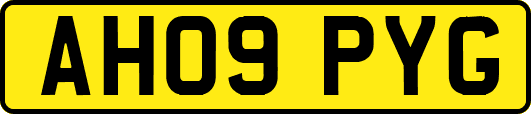 AH09PYG