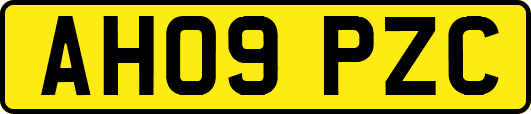 AH09PZC