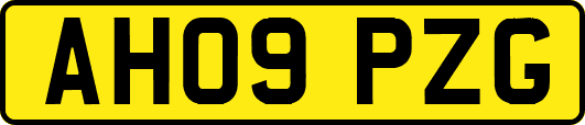 AH09PZG