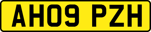 AH09PZH