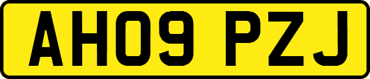 AH09PZJ