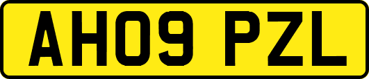 AH09PZL