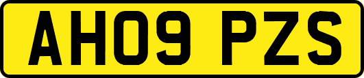 AH09PZS