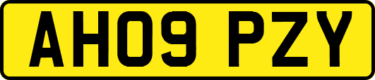 AH09PZY