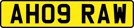 AH09RAW