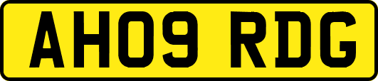 AH09RDG