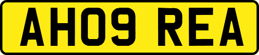 AH09REA