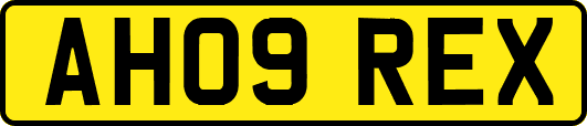 AH09REX