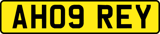 AH09REY