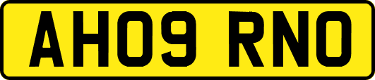 AH09RNO