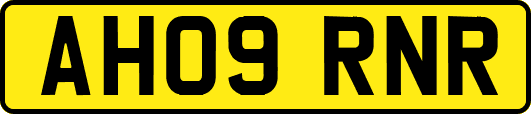 AH09RNR