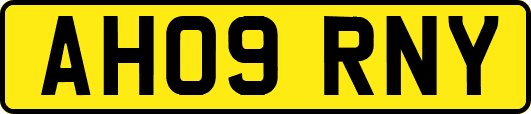 AH09RNY