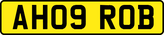 AH09ROB