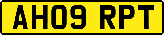 AH09RPT