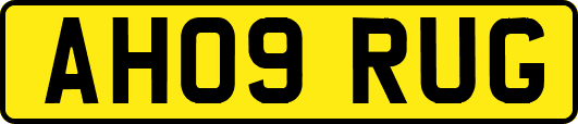 AH09RUG