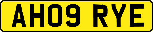 AH09RYE