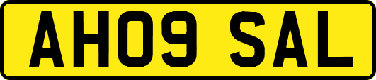 AH09SAL