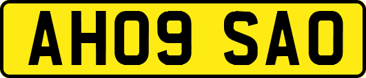 AH09SAO