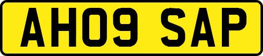 AH09SAP