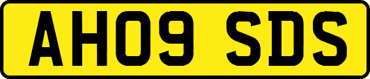 AH09SDS