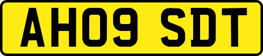 AH09SDT