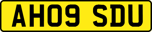 AH09SDU