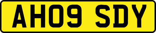 AH09SDY