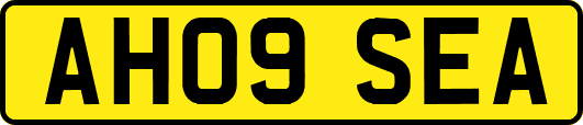 AH09SEA