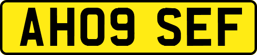 AH09SEF