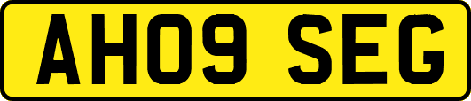 AH09SEG