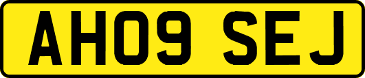 AH09SEJ