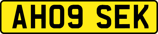 AH09SEK