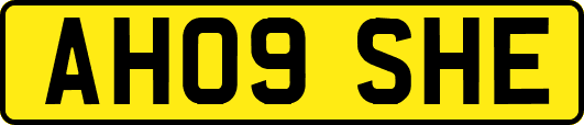 AH09SHE