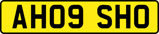 AH09SHO