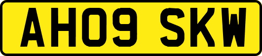 AH09SKW