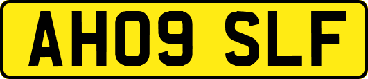 AH09SLF
