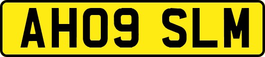 AH09SLM