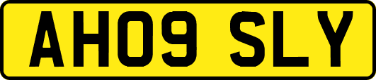 AH09SLY