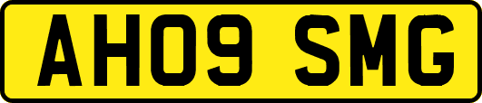 AH09SMG