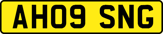 AH09SNG