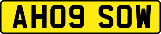 AH09SOW