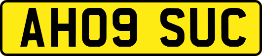 AH09SUC