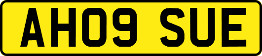 AH09SUE