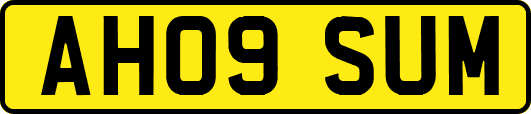 AH09SUM
