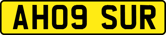 AH09SUR