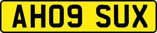 AH09SUX
