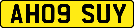 AH09SUY