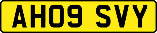 AH09SVY